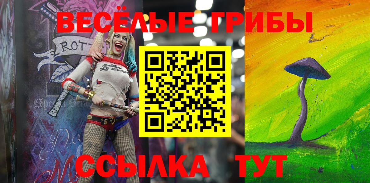 Ессентуки  Галлюциногенные грибы MAGIC MUSHROOMS  Вход с VPN 