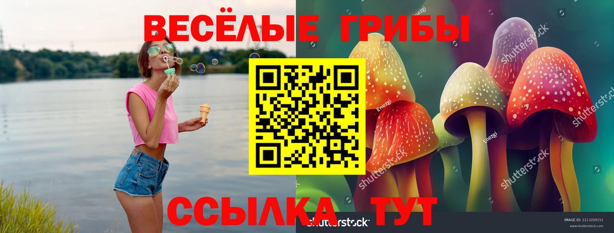 Галлюциногенные грибы Cubensis Ессентуки